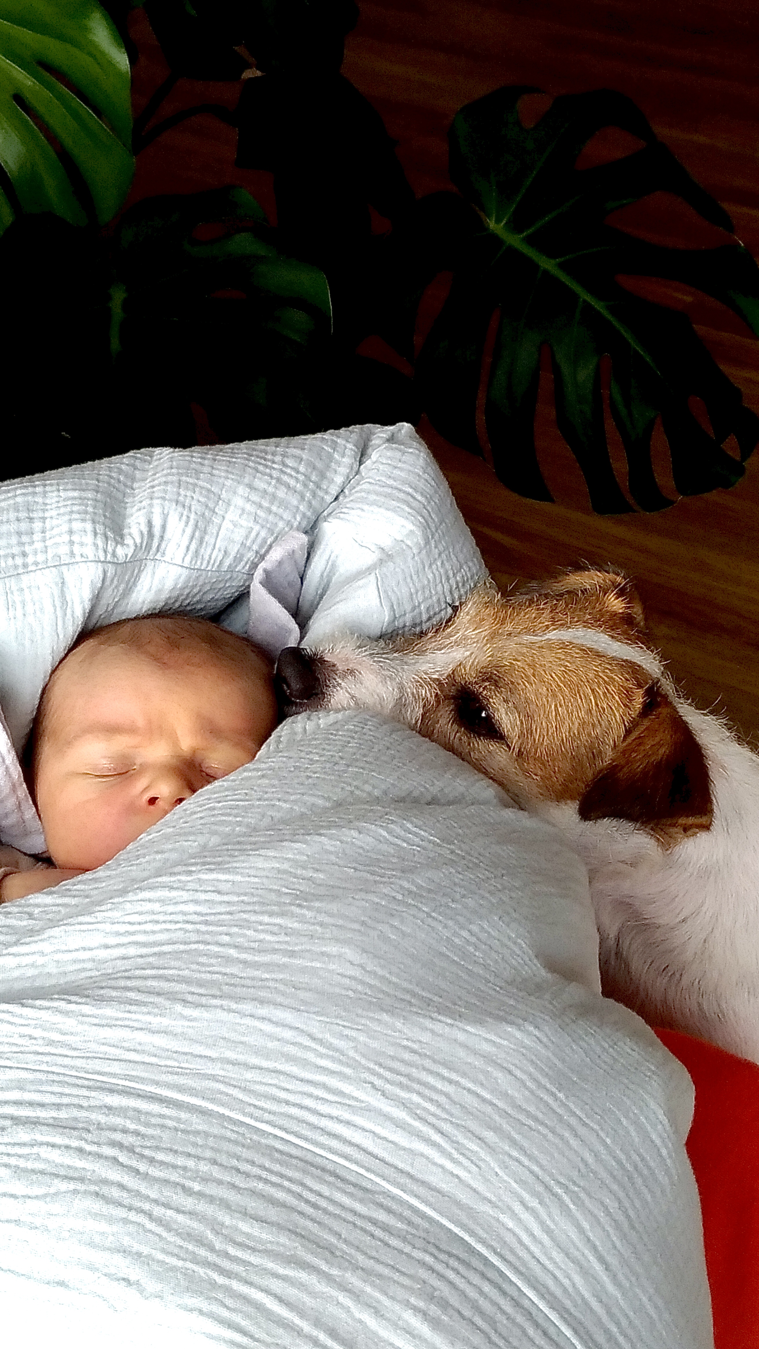 Jitka Svobodová. (Seznámení)Olomouc1.